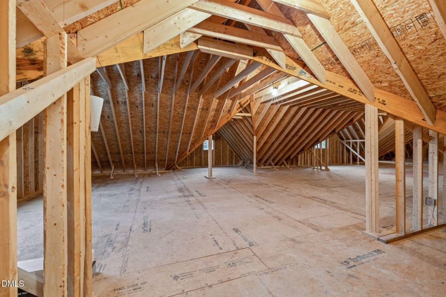 51-web-or-mls-untitled-41