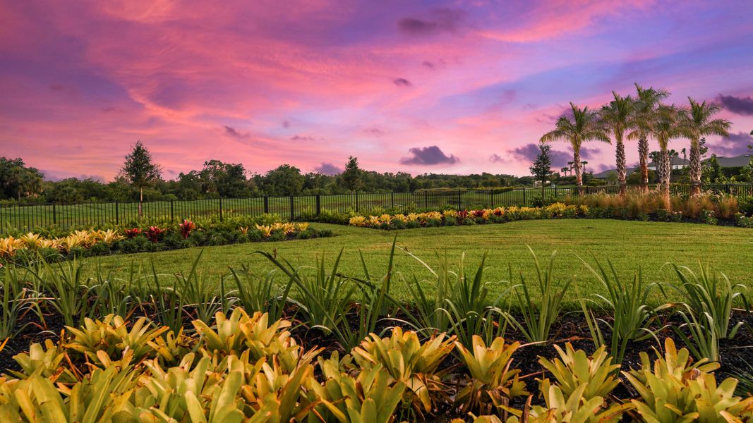 Natural landscape and outdoor views near Skye Ranch Community Group Page in Sarasota (Image 108).