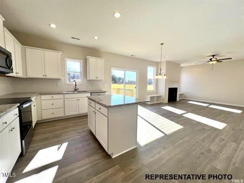 Representative Photo