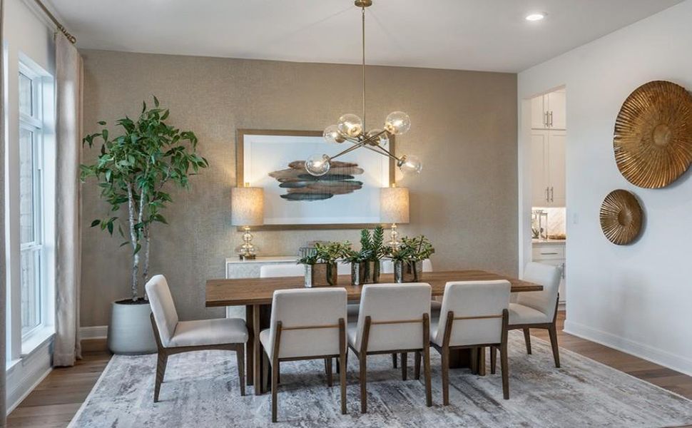 REPRESENTATIVE PHOTO