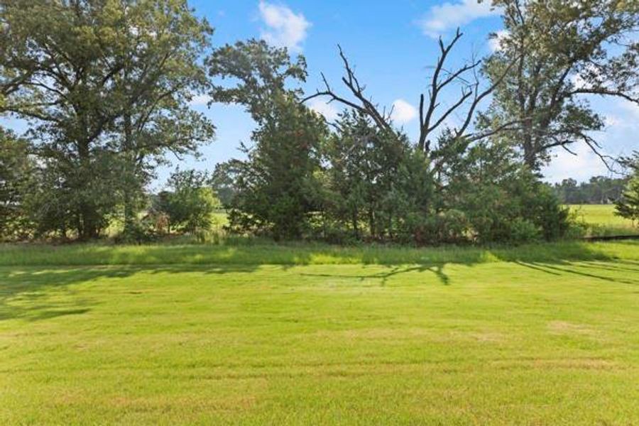 Natural landscape and outdoor views near  in Tyler (Image 28).