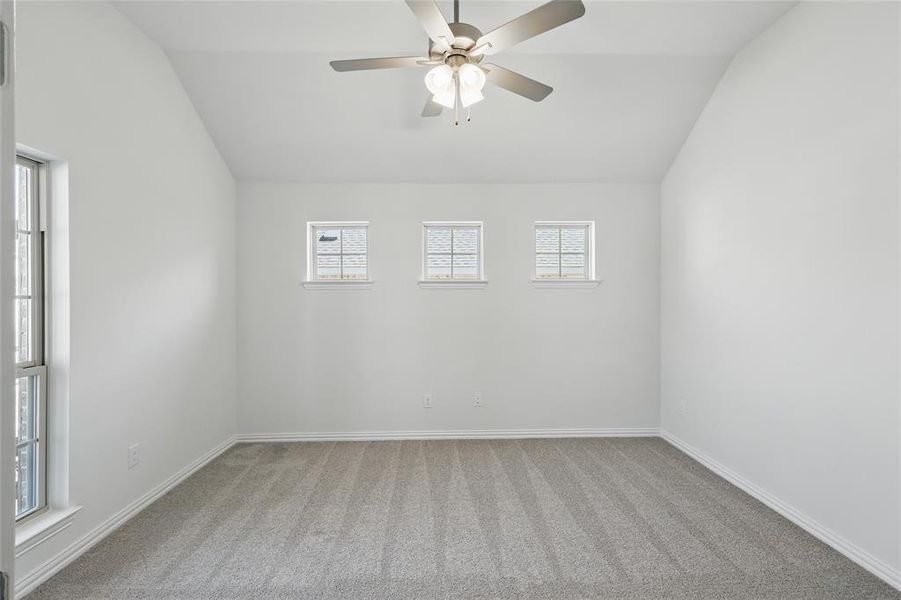 Carpeted empty room featuring vaulted ceiling, ceiling fan, plenty of natural light, and baseboards