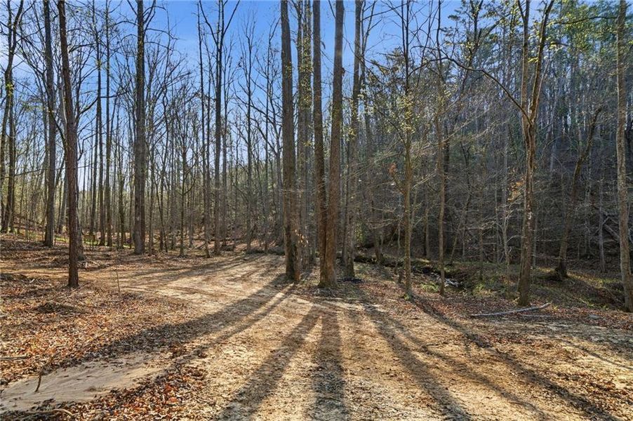 Natural landscape and outdoor views near  in Ellijay (Image 19).