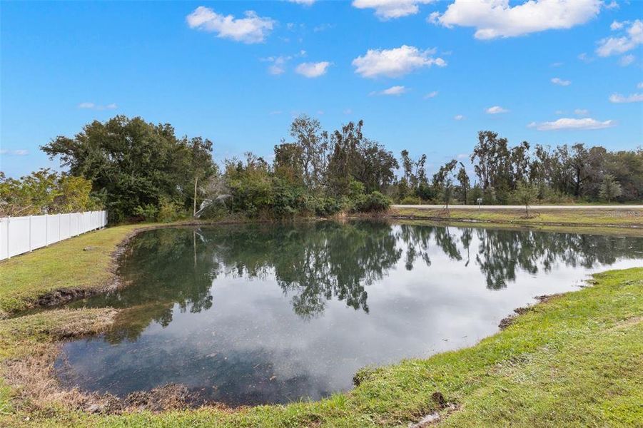 Natural landscape and outdoor views near in Land O' Lakes (Image 38). Natural landscape and outdoor views near in Land O' Lakes (Image 38).