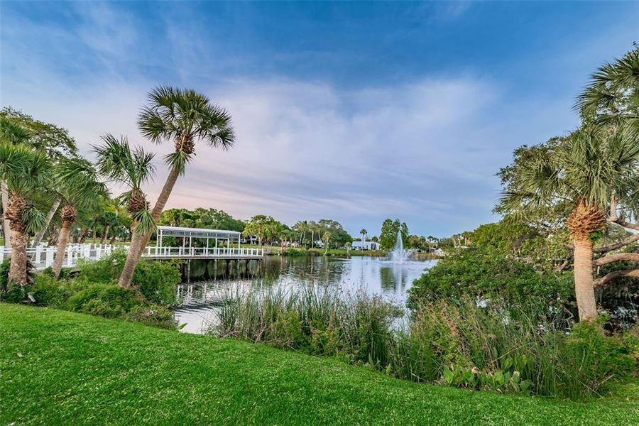 Natural landscape and outdoor views near  in New Port Richey (Image 43).