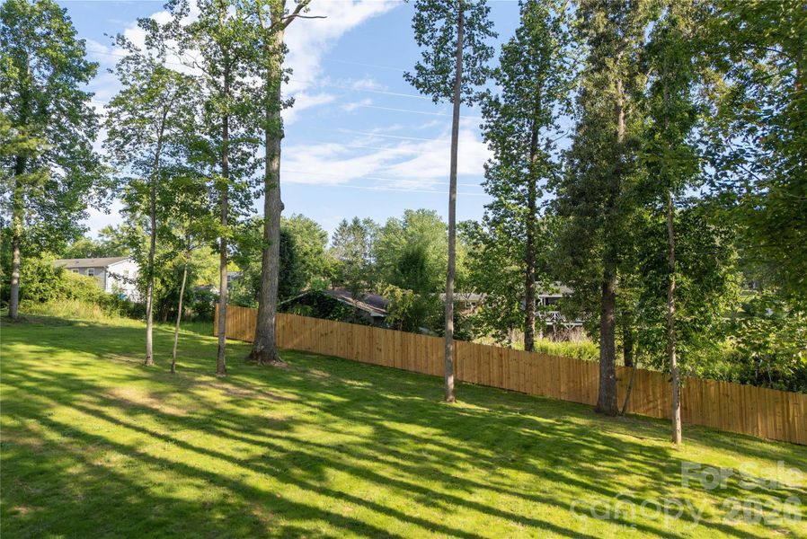 Large Back yard