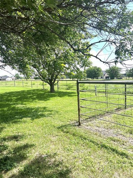 Natural landscape and outdoor views near in Alvarado (Image 16). Natural landscape and outdoor views near in Alvarado (Image 16).