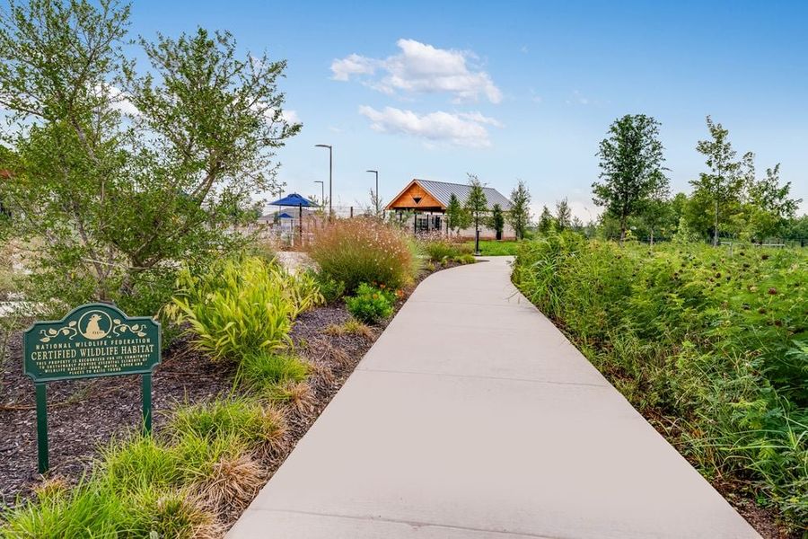 Community amenities in Lisso, Pflugerville (Image 24). Community amenities in Lisso, Pflugerville (Image 24).