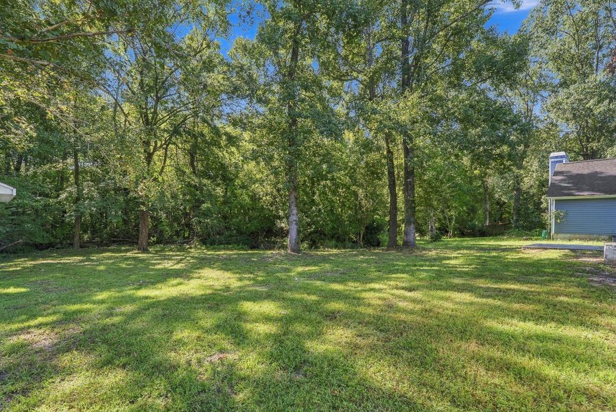 Natural landscape and outdoor views near in North Charleston (Image 44). Natural landscape and outdoor views near in North Charleston (Image 44).