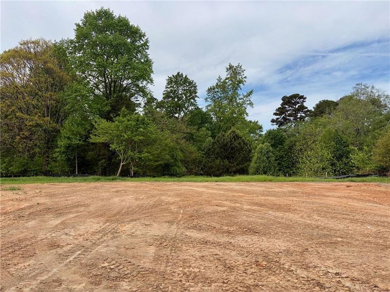 Site preparation for new homesites in , Cumming (Image 21).