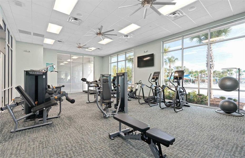 Community amenities in , Clermont (Image 44). Community amenities in , Clermont (Image 44).
