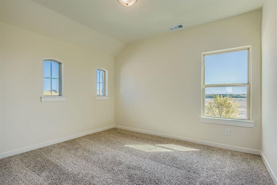 Spare room with healthy amount of natural light, carpet floors, and vaulted ceiling