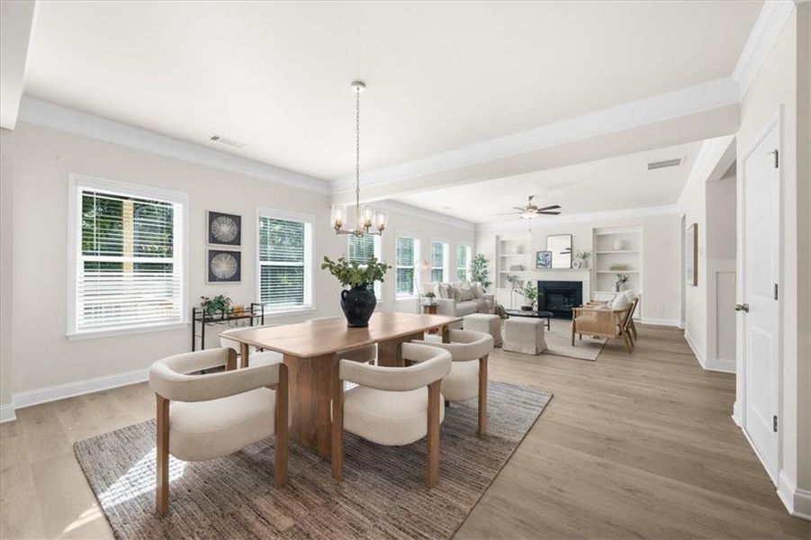 Furnished interior view inside a new home in River Rock, Ball Ground (Image 5).