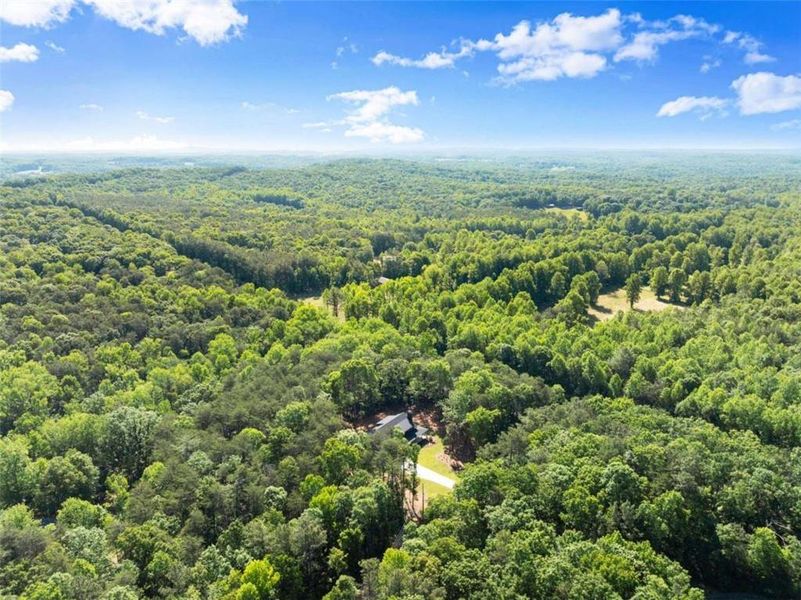 Natural landscape and outdoor views near  in Clarkesville (Image 58).