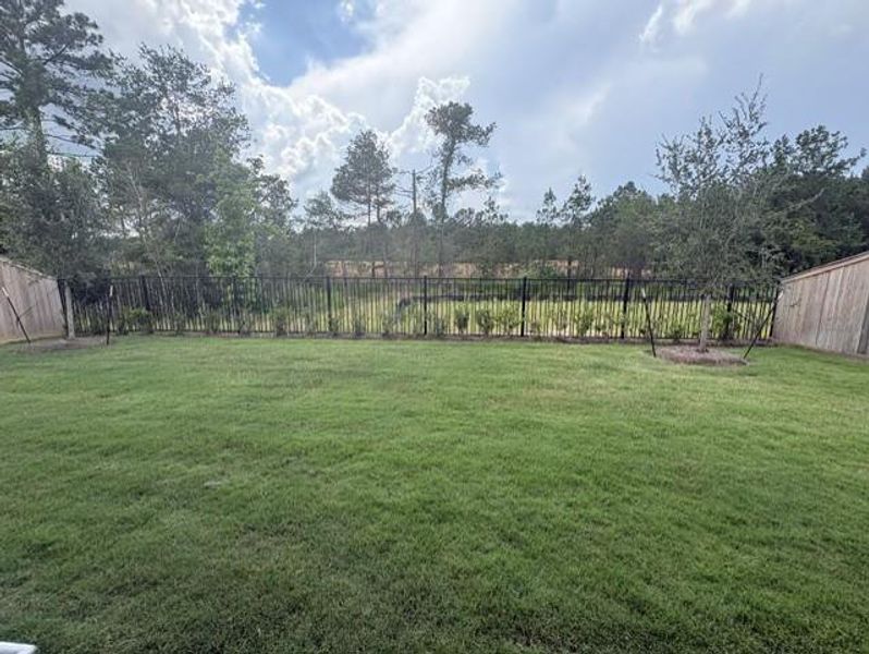 Natural landscape and outdoor views near in Montgomery (Image 36). Natural landscape and outdoor views near in Montgomery (Image 36).