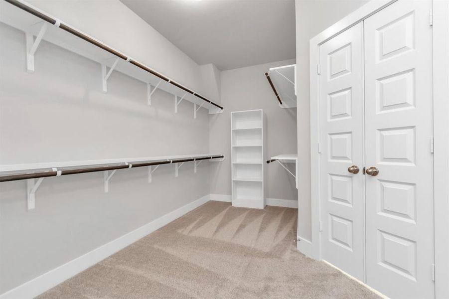 Experience luxury in this spacious walk-in closet with high ceilings and plush carpet. Warm paint tones, built-in shelving, and dark finishes create a contemporary and functional retreat