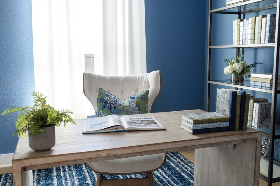 Representative Study - some options shown