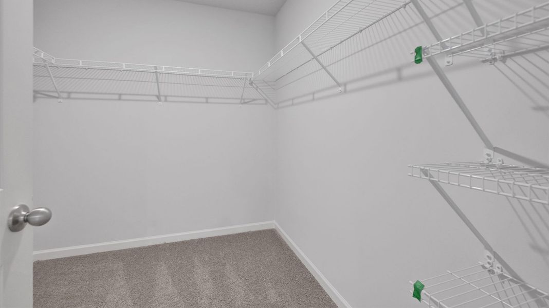 Spacious, unfurnished interior of a new home in Hedge Rose, Somerville (Image 27).
