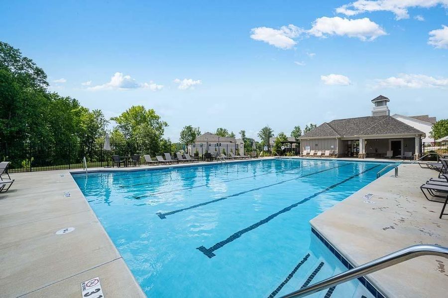 Community amenities in Falls Creek, Flowery Branch (Image 44).