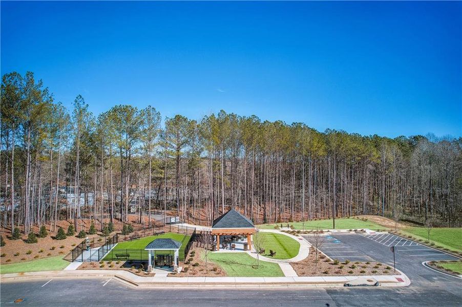 Community amenities in Adler Springs, Powder Springs (Image 19).