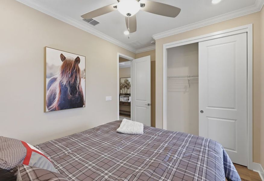 Connect Guest Bed - 17 of 20