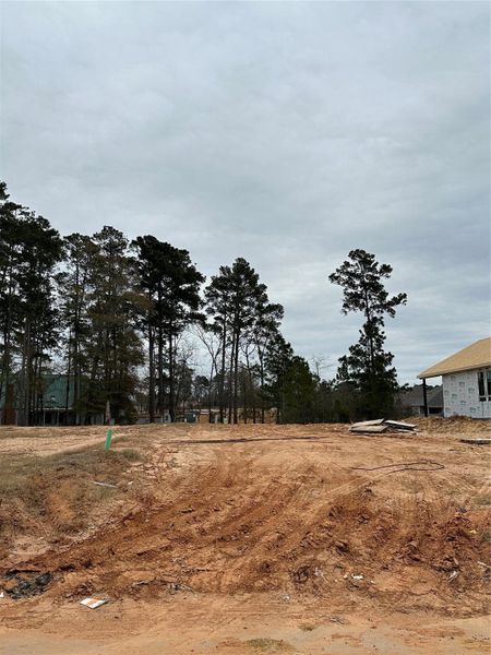 Image 14 of a home in Reserve at Mallard Lakes. Image 14 of a home in Reserve at Mallard Lakes.
