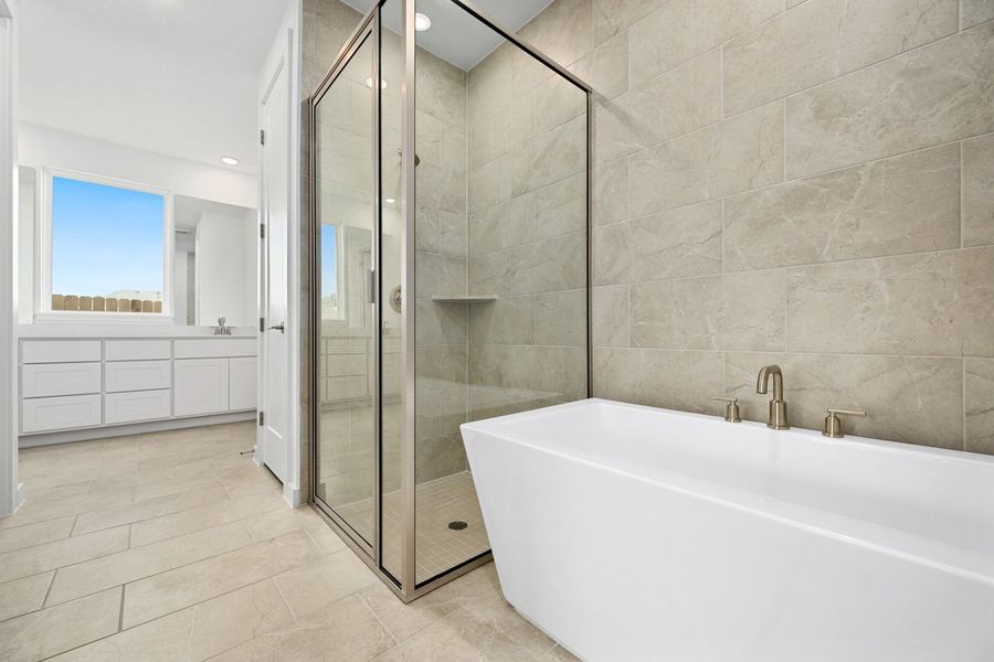 Representative Primary Bathroom - some options shown