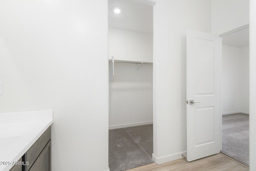 Southwest_Ash_016 Southwest_Ash_016