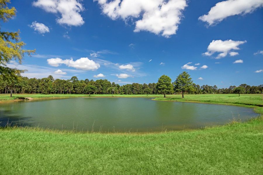 Community Pond