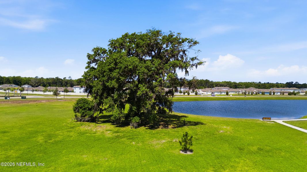 Natural landscape and outdoor views near  in St. Augustine (Image 67).