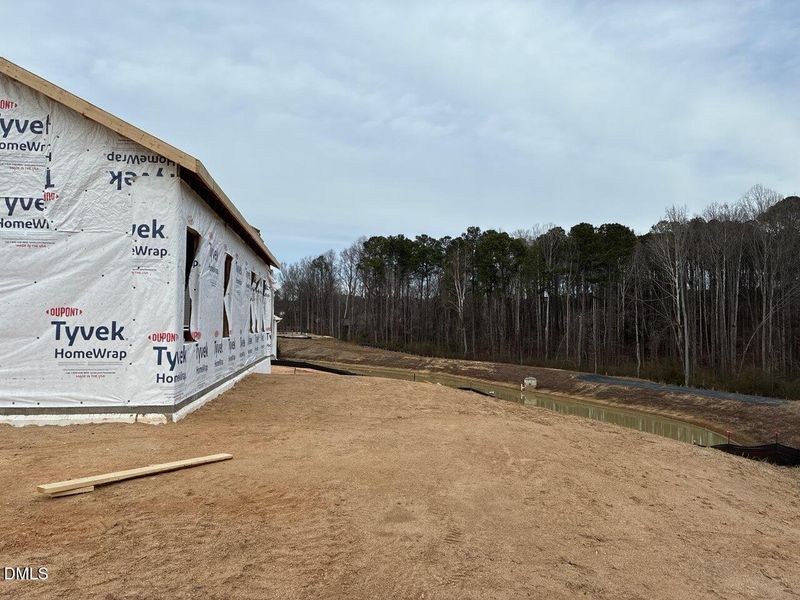 132 back_Asya Lebeau