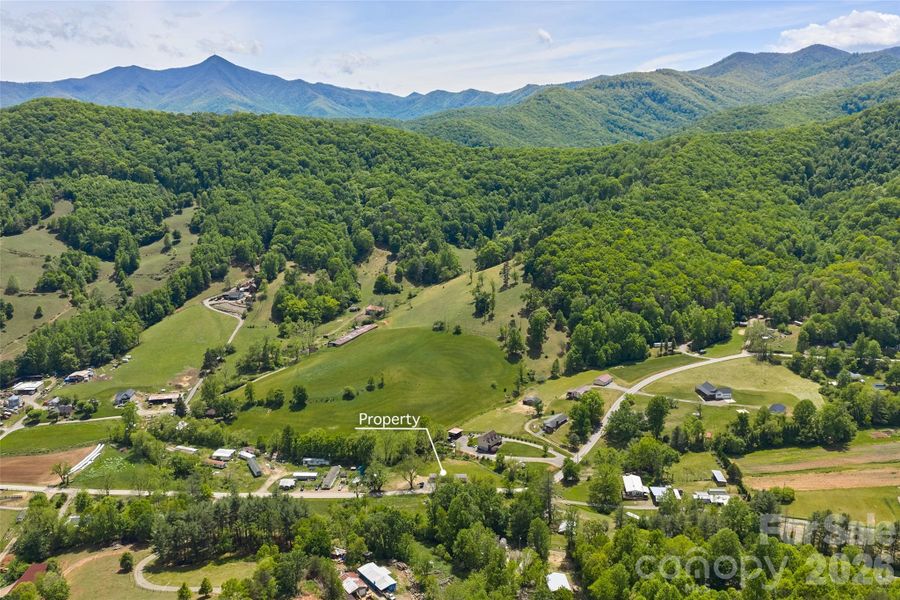 Natural landscape and outdoor views near  in Candler (Image 14).