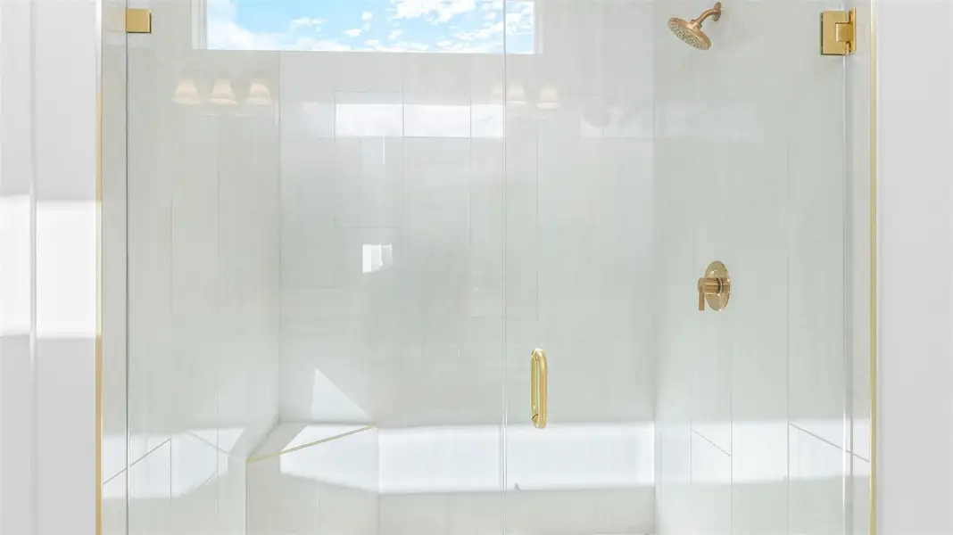 Owner's Bath