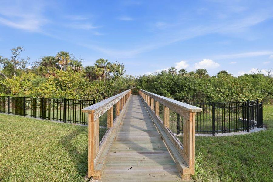 Natural landscape and outdoor views near Indigo Creek in Apollo Beach (Image 24).