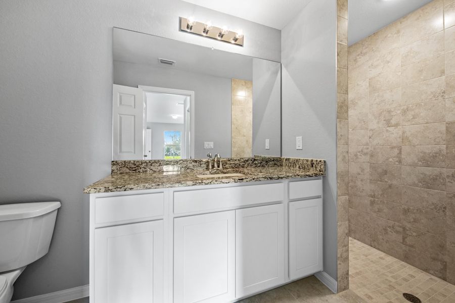 Primary Suite Bathroom