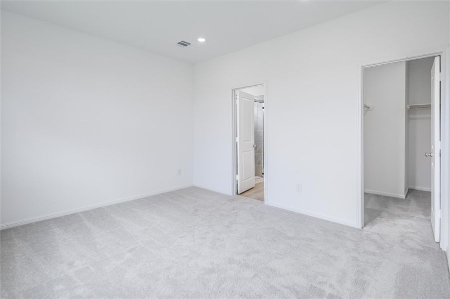 21834 Red Lantana ~ Ready Now 21834 Red Lantana ~ Ready Now