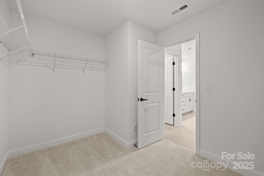 REPRESENTATIVE PHOTO