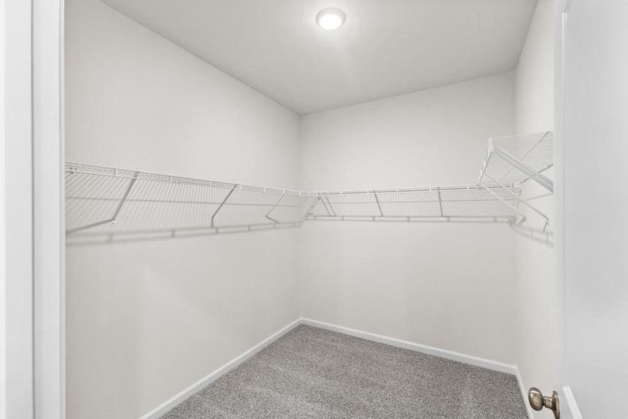 Spacious, unfurnished interior of a new home in The Grove, Florence (Image 27).