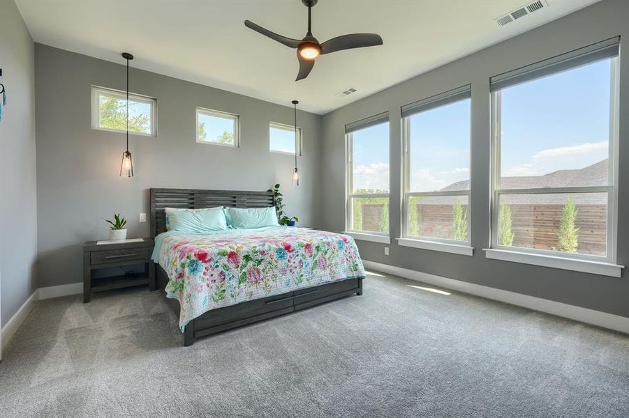 Carpeted bedroom with baseboards and ceiling fan Carpeted bedroom with baseboards and ceiling fan