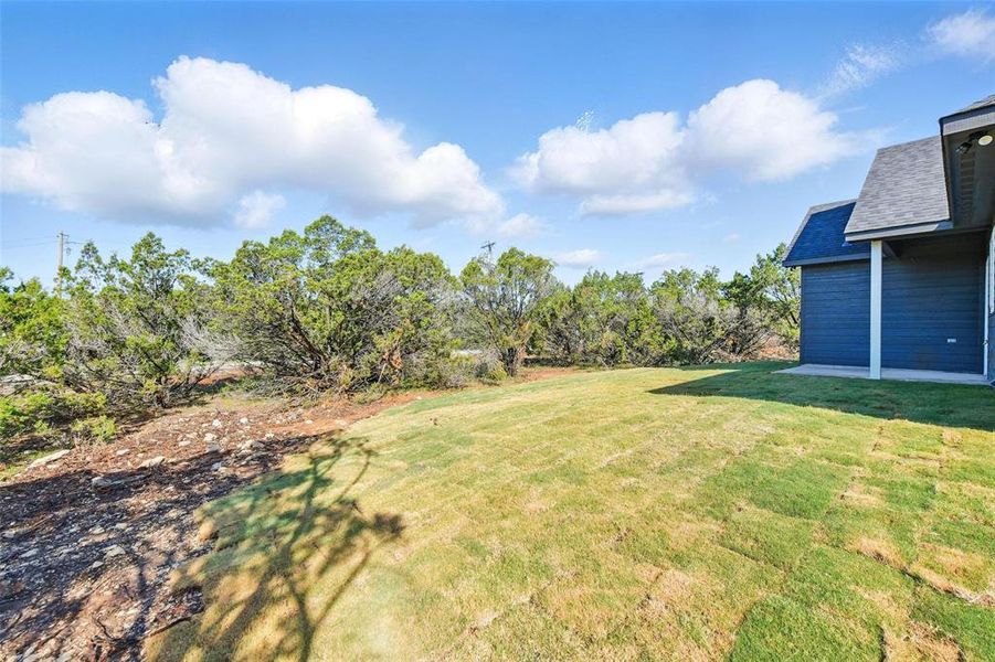 View of green lawn View of green lawn