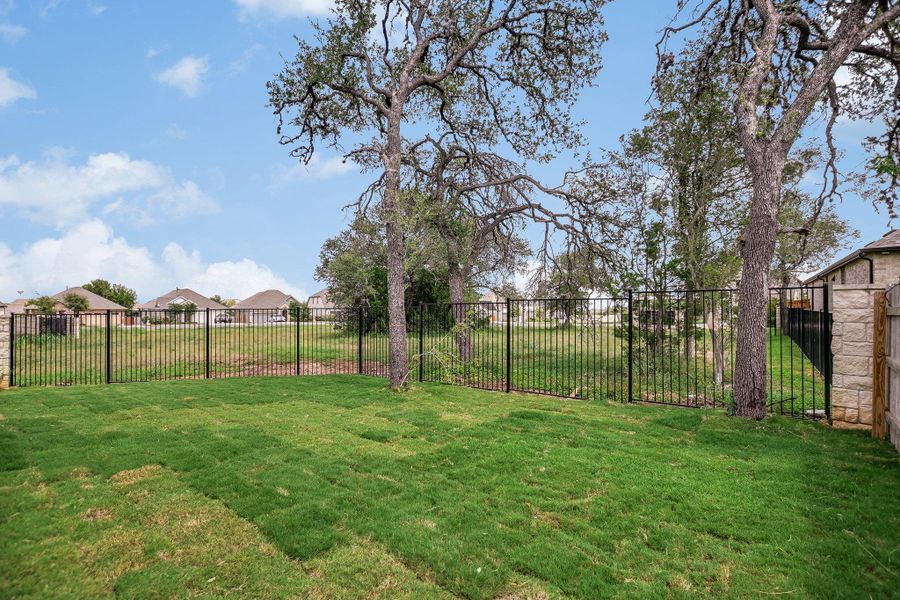 Backyard