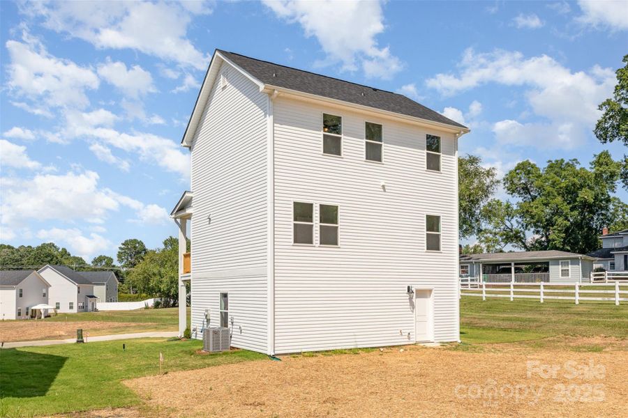 Banyan - Back View 1. Representational Photo Banyan - Back View 1. Representational Photo