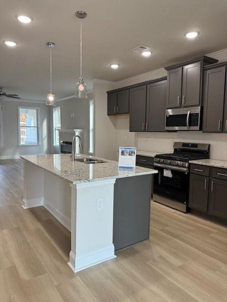Furnished interior view inside a new home in Cooper's Walk, Loganville (Image 4).