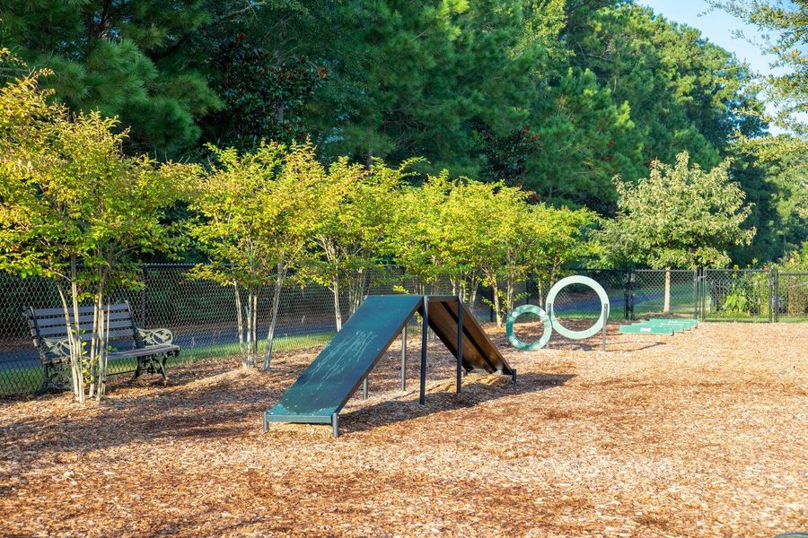 Community amenities in Carnes Crossroads, Summerville (Image 10).