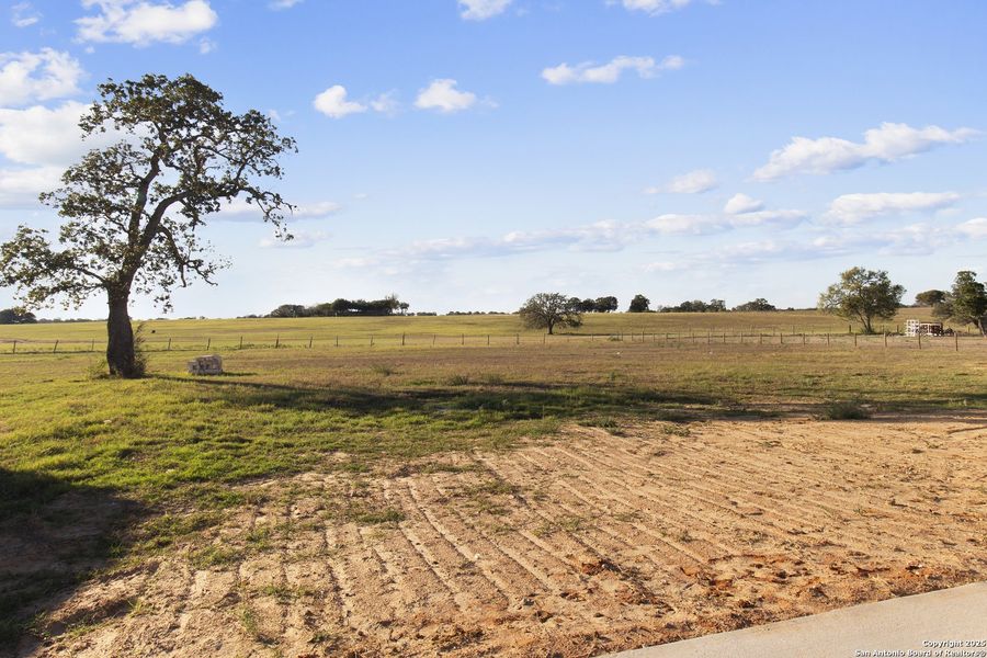 Natural landscape and outdoor views near  in Adkins (Image 43).