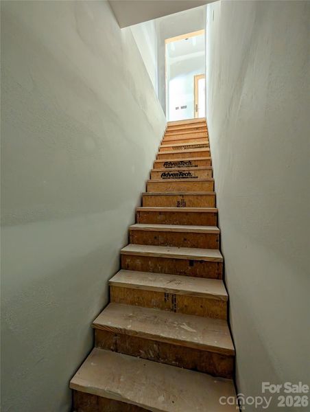 Stairs to Basement access