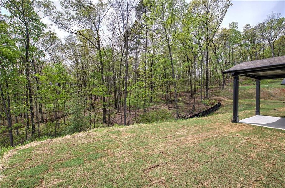 Natural landscape and outdoor views near  in Cartersville (Image 48).