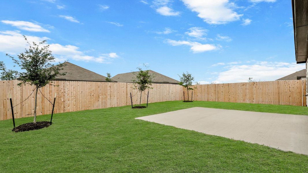 Backyard Backyard