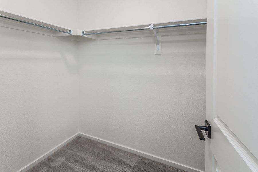 Spacious, unfurnished interior of a new home in Bloom, Fort Collins (Image 23). Spacious, unfurnished interior of a new home in Bloom, Fort Collins (Image 23).