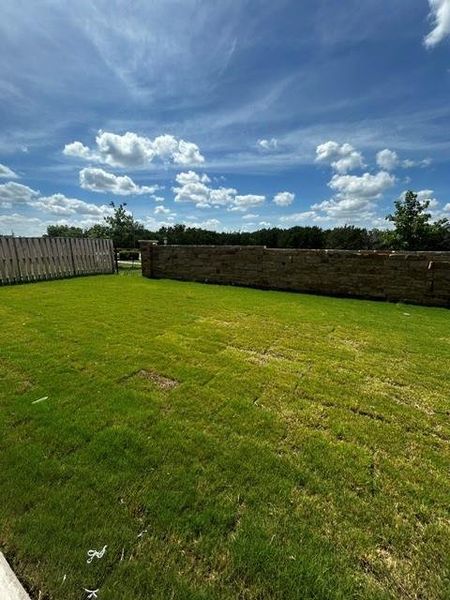 Private Backyard of Home